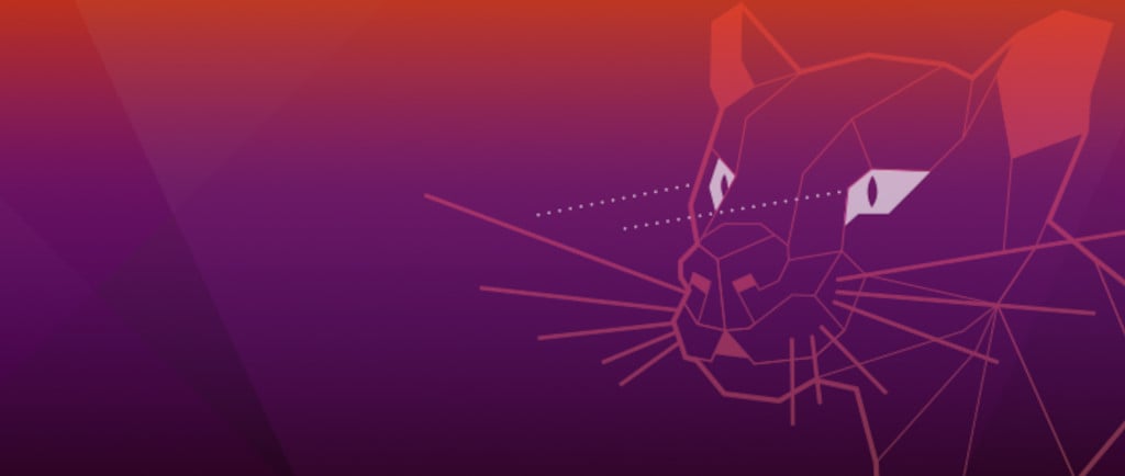 Ubuntu 20.04 Focal Fossa